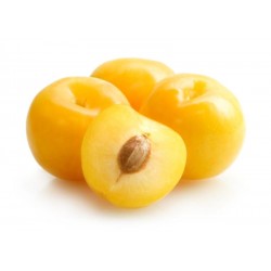 Prune Jaune (France)
