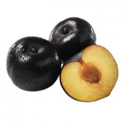 Prunes Noire (France)