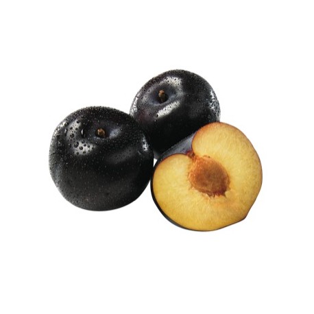 Prunes Noire (France)