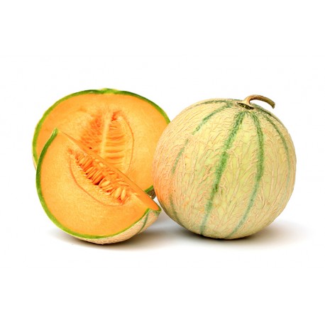 Melon en PROMO (France)