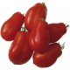 Tomate ROMA à sauce