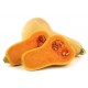 Courge butternut (France)