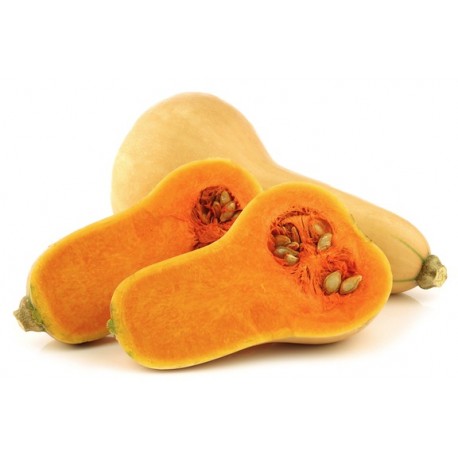 Courge butternut (France)