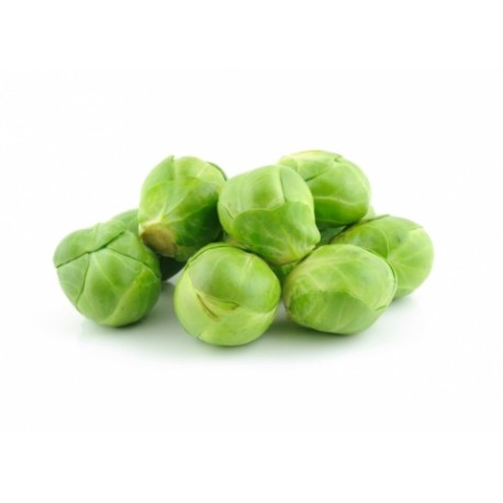 Choux de Bruxelles ( Belgique)
