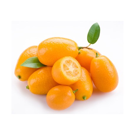 Kumquat (Afrique du Sud)