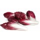 Carmine (Belgique)