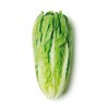 Coeur de romaine ( Espagne)