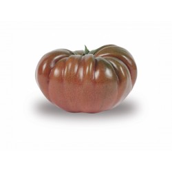Tomate noire (France)