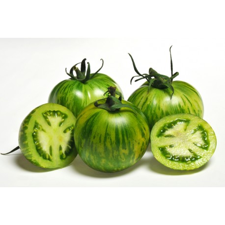 tomate green zebra (France)