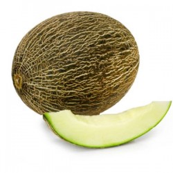 Melon Vert (Espagne)