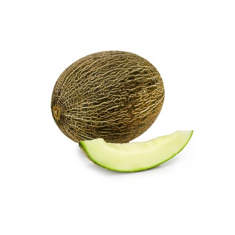 Melon Vert (Espagne)