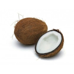 Noix de coco (Indonésie)