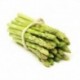 Asperge Verte botte (Espagne)
