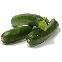 Courgette (france)