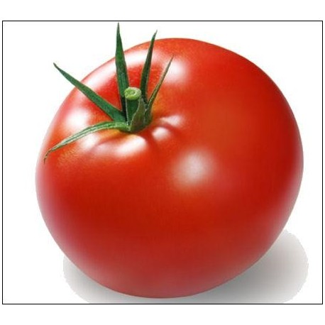 Tomate (Espagne)