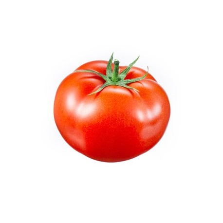 Tomate à farcir (France)